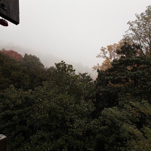 More Photos Of 1081 Cove Rd, Sevierville Specialty For Sale