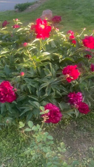 Primary Photo Of 33345 W. 95th St, De Soto Land For Sale