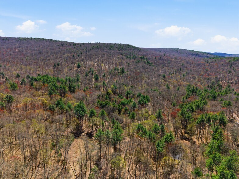 More Photos Of 0 Dry Hill Road, Montague Land For Sale