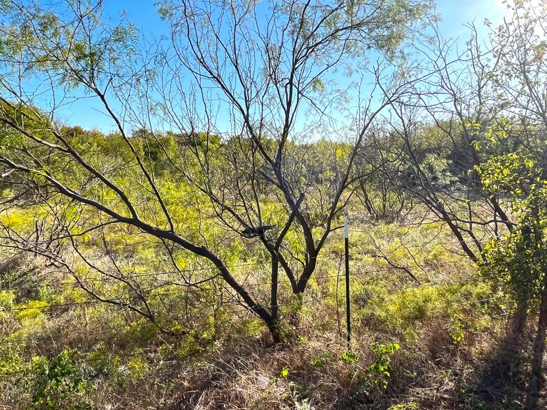 More Photos Of TBD HWY 289, Gunter Land For Sale