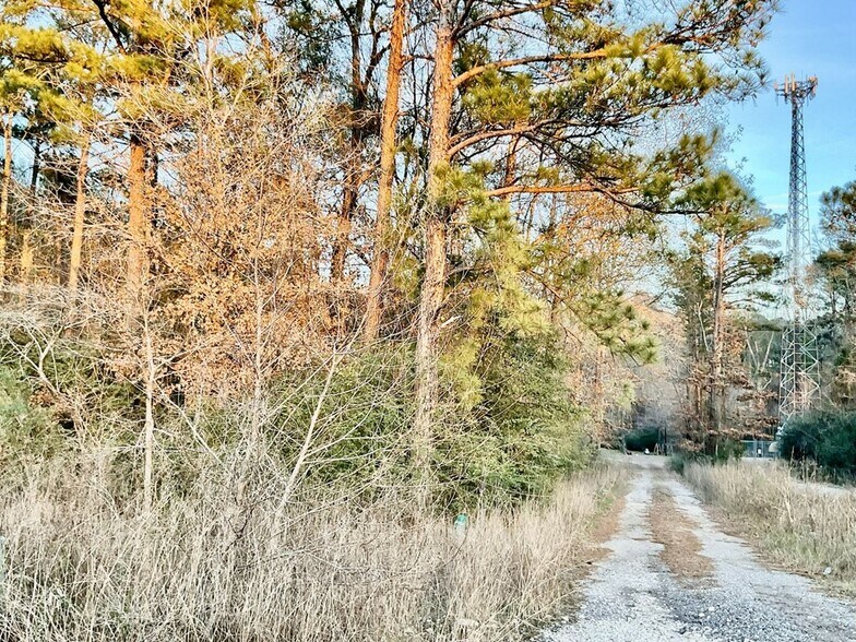 More Photos Of 2232 Medford Loop, Lufkin Land For Sale
