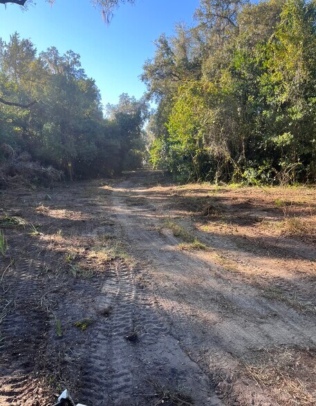 More Photos Of 785 & 935 N Independence Hwy, Inverness Land For Sale