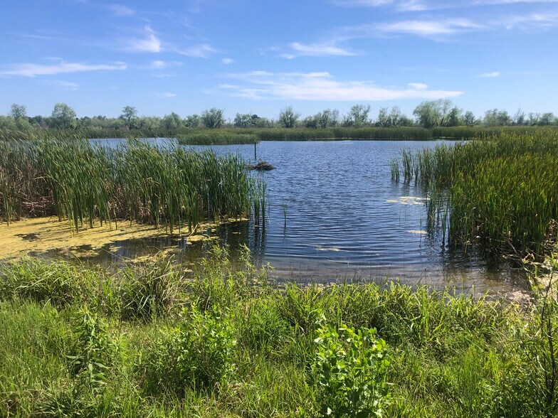 More Photos Of TBD County Road 210, Danbury Land For Sale