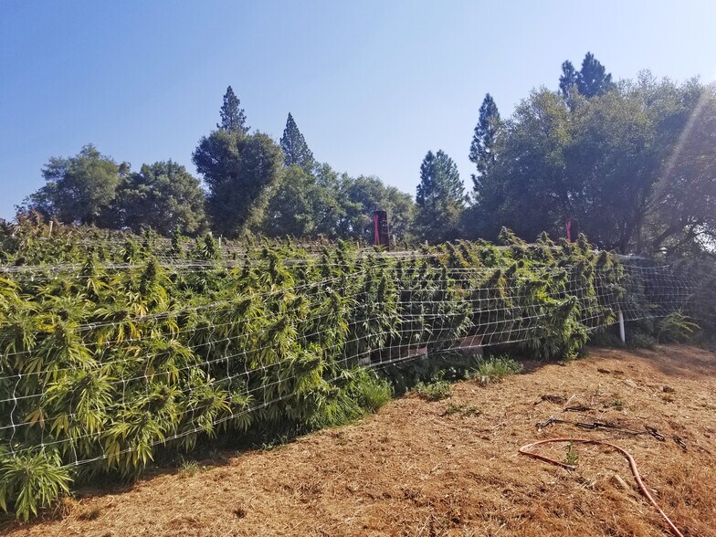 More Photos Of 2883 N Railroad Flat Rd, Wilseyville Land For Sale