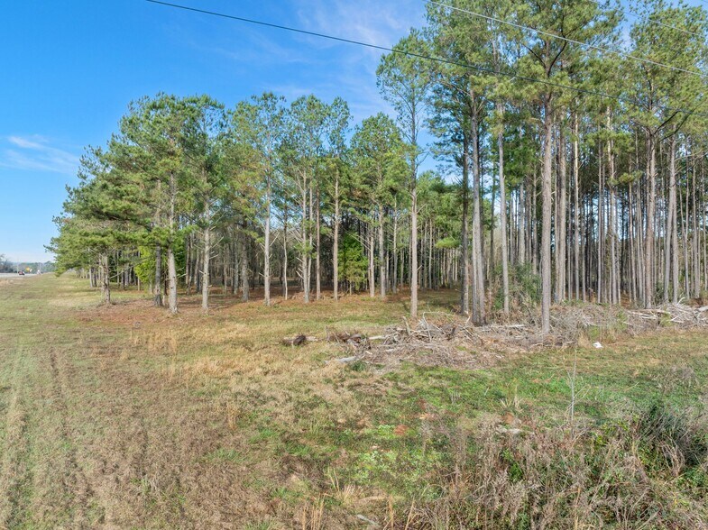 More Photos Of 1115 Evelyn Gandy Pky, Petal Land For Sale