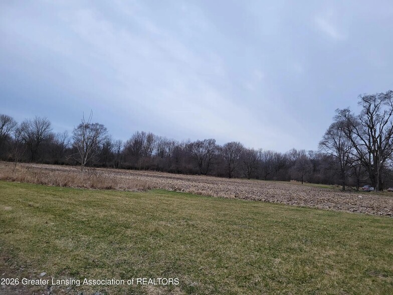 Primary Photo Of 0 M21 Hwy, Ovid Land For Sale