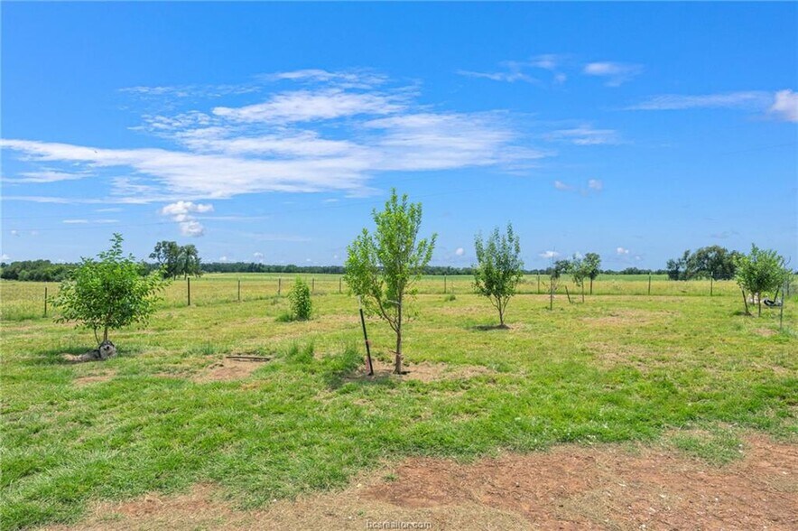 More Photos Of 2970 County Road 270, Cameron Land For Sale