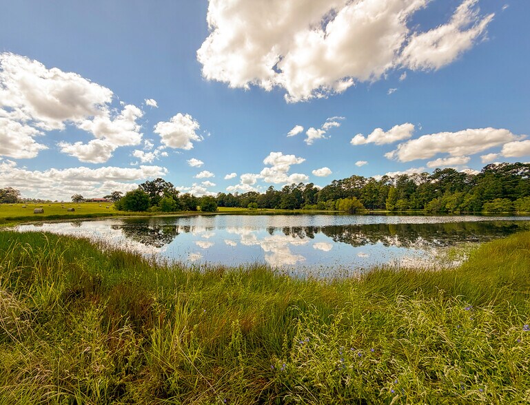 More Photos Of 567 Tamie Lowe rd, Moscow Land For Sale