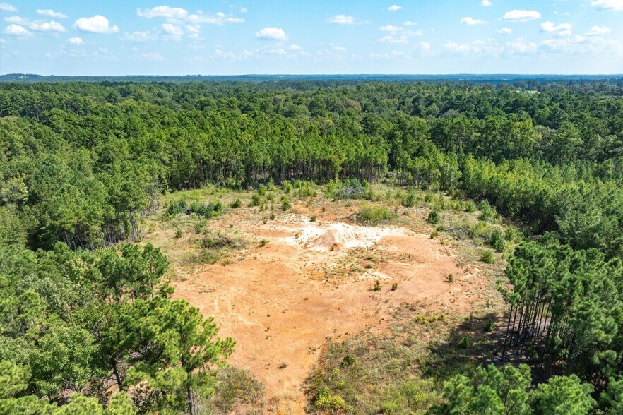 More Photos Of 18021 State Highway 155 S hwy, Flint Land For Sale
