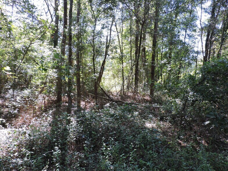 More Photos Of 2935 New Berlin Rd, Jacksonville Land For Sale