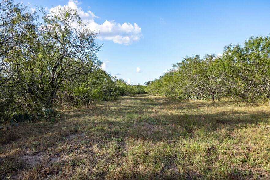 More Photos Of 399 Seals Creek Rd, Lockhart Land For Sale