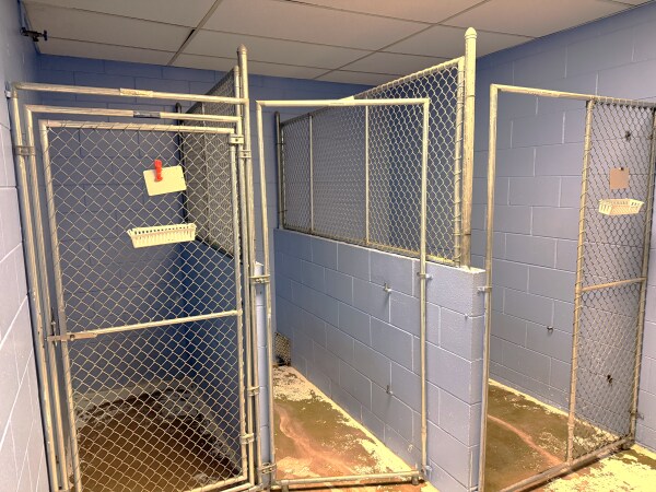 More Photos Of 421 5th St, Centuria Veterinarian Kennel For Sale