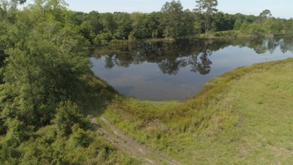 More Photos Of Hwy 280 W, Hagan Land For Sale