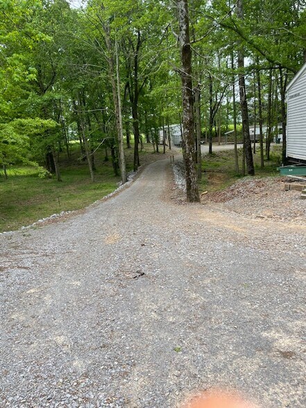 More Photos Of 14097 County 222 rd, Crane Hill Land For Sale