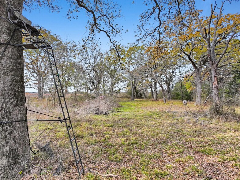 More Photos Of TBA Texas 24S, Klondike Land For Sale