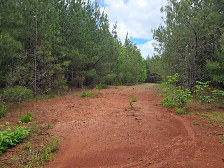 More Photos Of Davis Lake Rd @ Old Talbotton Rd, Thomaston Land For Sale