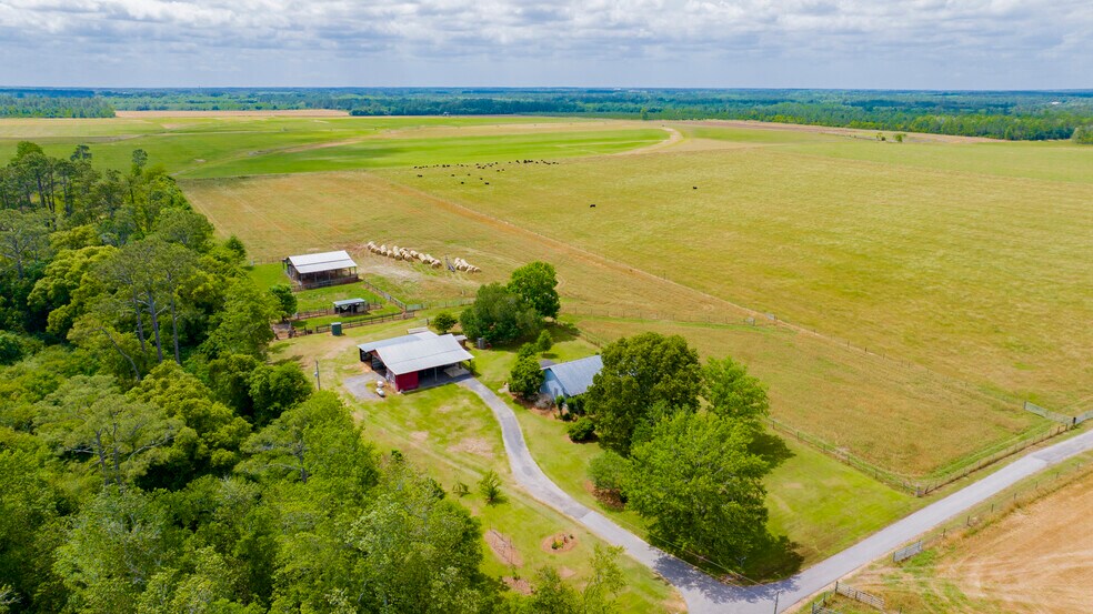 More Photos Of 24795 Hwy 32, Elberta Land For Sale