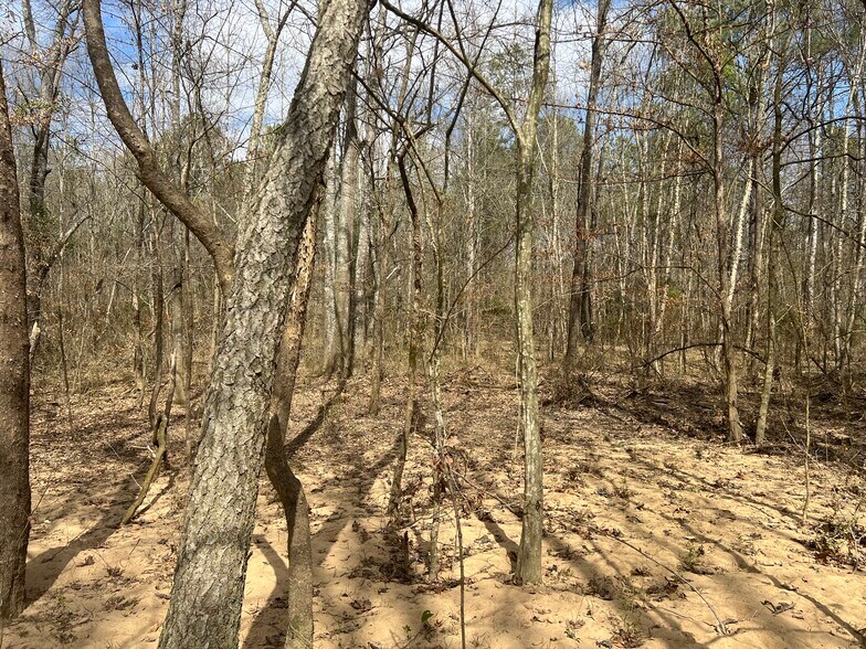 More Photos Of 1593 Old Alabama rd, Taylorsville Land For Sale