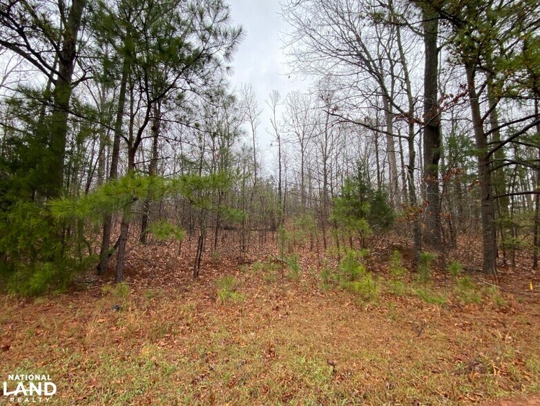 More Photos Of 0 Highway 280, Dadeville Land For Sale