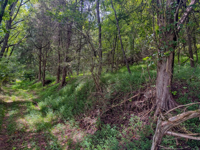 More Photos Of 910 Old Fort Ln, Chuckey Land For Sale