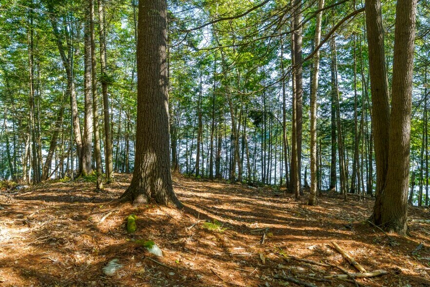 More Photos Of 48 Route One, Edgecomb Land For Sale