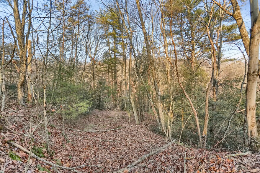 More Photos Of 703 Dauva Luch Rd, Herndon Land For Sale