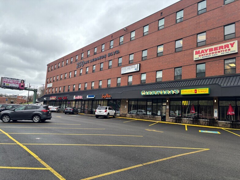 More Photos Of 250 Mt Lebanon Blvd, Pittsburgh Medical For Lease