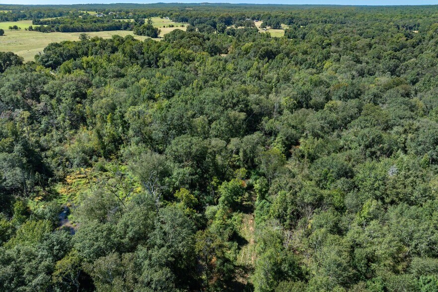 More Photos Of Tract 1 County Road 484, Mineola Land For Sale
