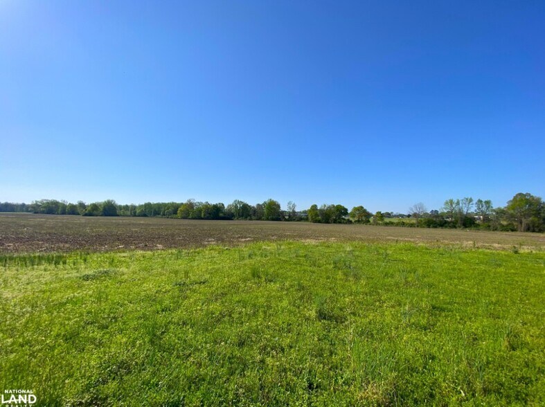 More Photos Of 3098 N HWY 171, Fayette Land For Sale