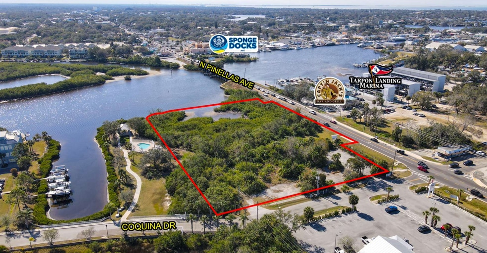 Primary Photo Of N Pinellas & Anclote Rd. ave, Tarpon Springs Land For Sale