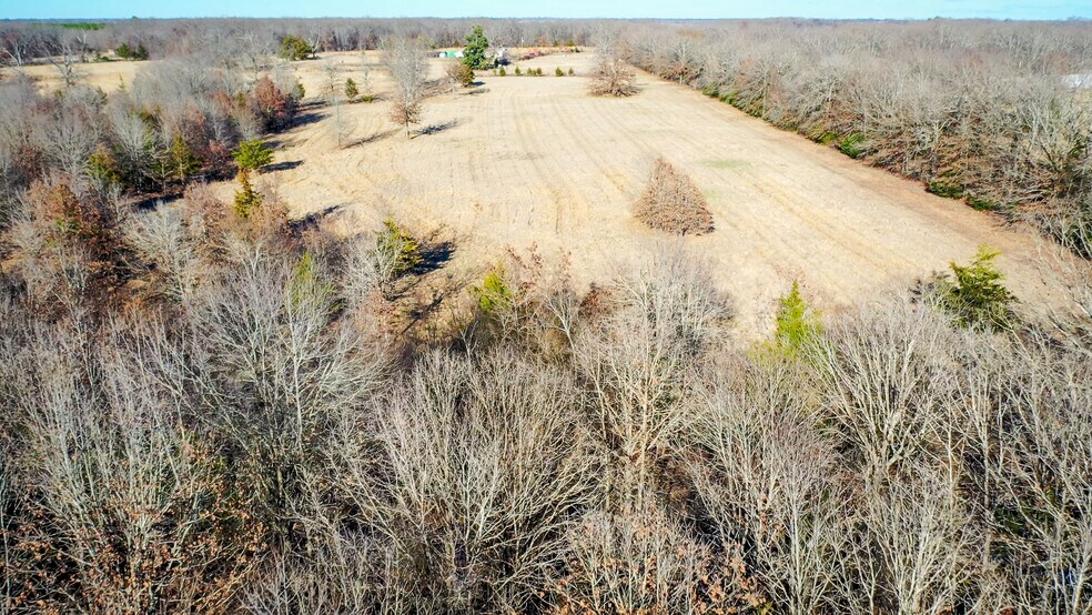 More Photos Of 1200 County 1255 rd, Detroit Land For Sale