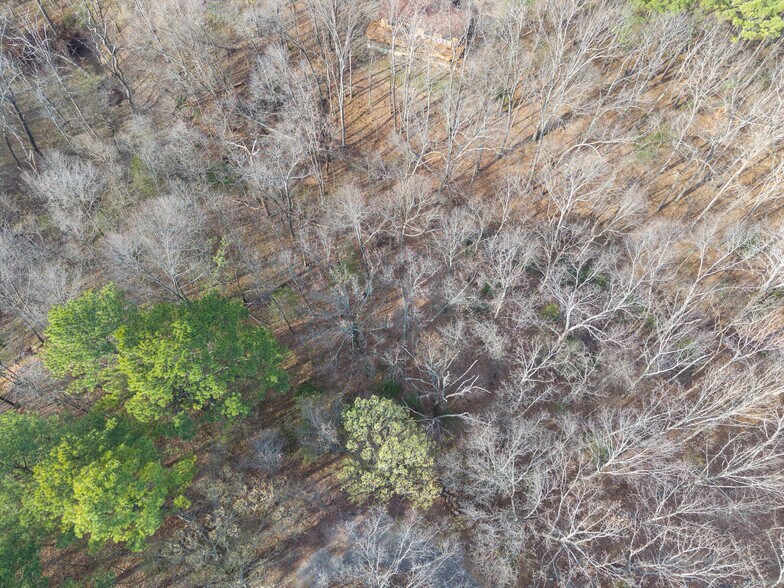More Photos Of Nairn Cir, Bella Vista Land For Sale