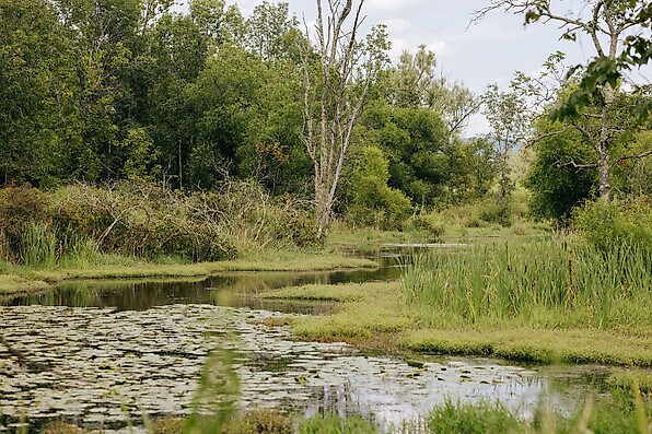 More Photos Of 935 State Route 313, Cambridge Hotel For Sale