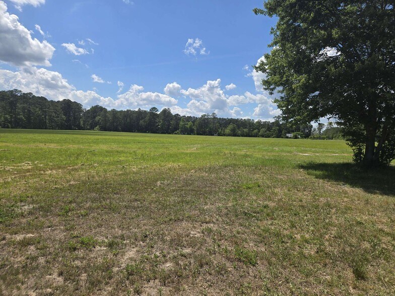 More Photos Of 24911 NC Hwy 210, Currie Land For Sale