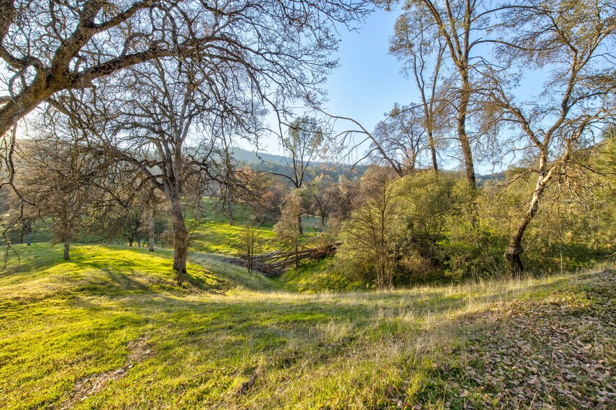 More Photos Of 50871 Road 200, O Neals Land For Sale
