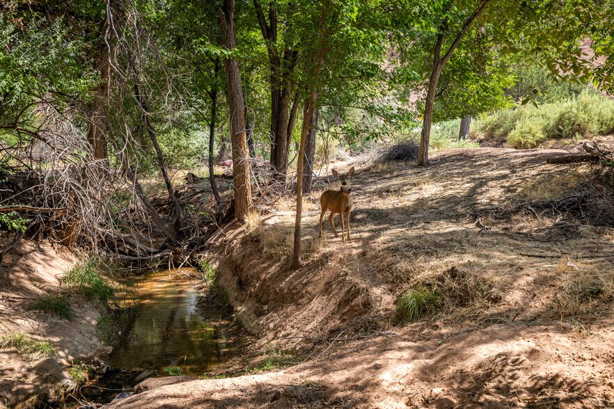 More Photos Of 545 Kane Creek Blvd, Moab Land For Sale