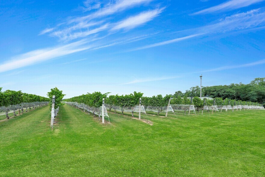 More Photos Of 44075 Rte 25, Peconic Winery Vineyard For Sale