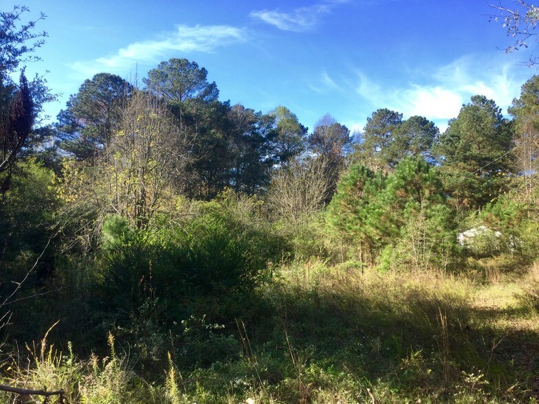 More Photos Of 400 Whitfield Dr, Dallas Land For Sale