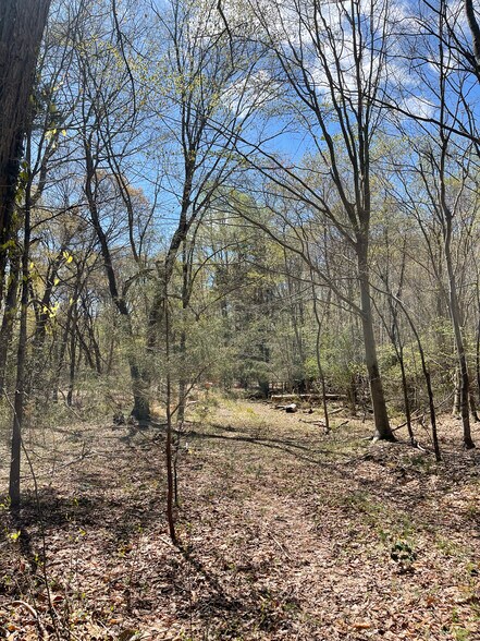 More Photos Of 38.66 Acres - Neck Road, Aquasco Land For Sale