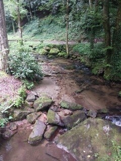 More Photos Of 4259 Pickens Hwy, Rosman Hospitality For Lease