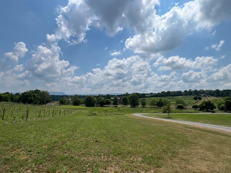 More Photos Of 2110 Quicksburg Rd, Quicksburg Land For Sale