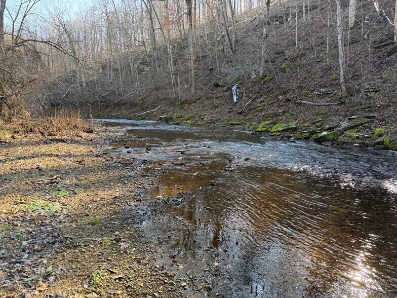 More Photos Of 4604 Summersville Rd, Campbellsville Land For Sale