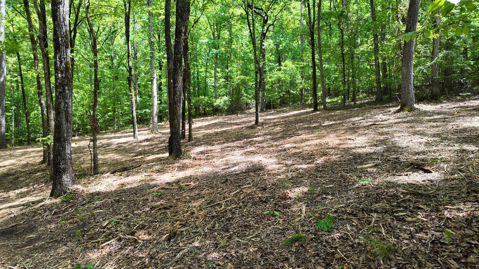 More Photos Of 0 Bullock Bridge Rd, Monroe Land For Sale