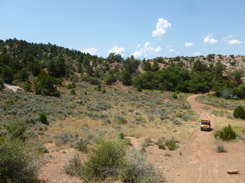 Primary Photo Of 680 SO Hwy, Cedar City Land For Sale