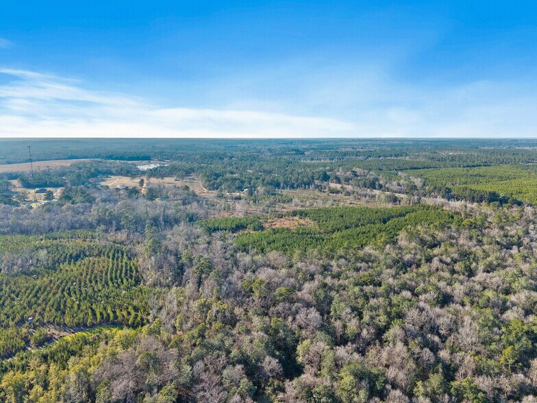 More Photos Of 55750 Lottie Rd, Perdido Land For Sale