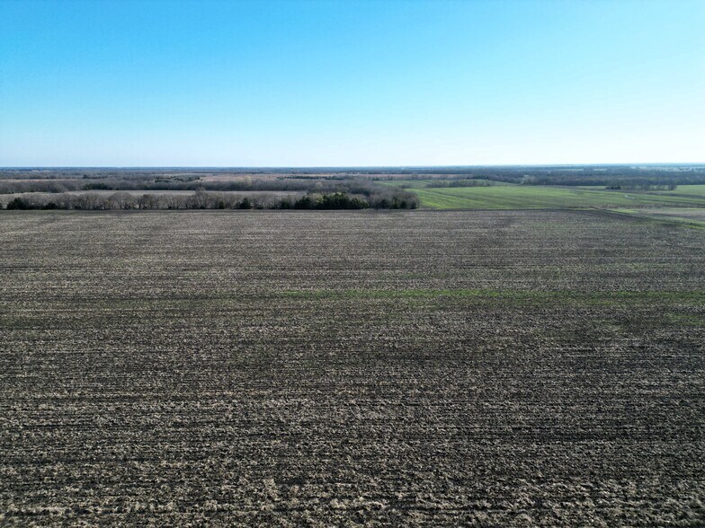 More Photos Of 99 ac County Road 4914, Ladonia Land For Sale