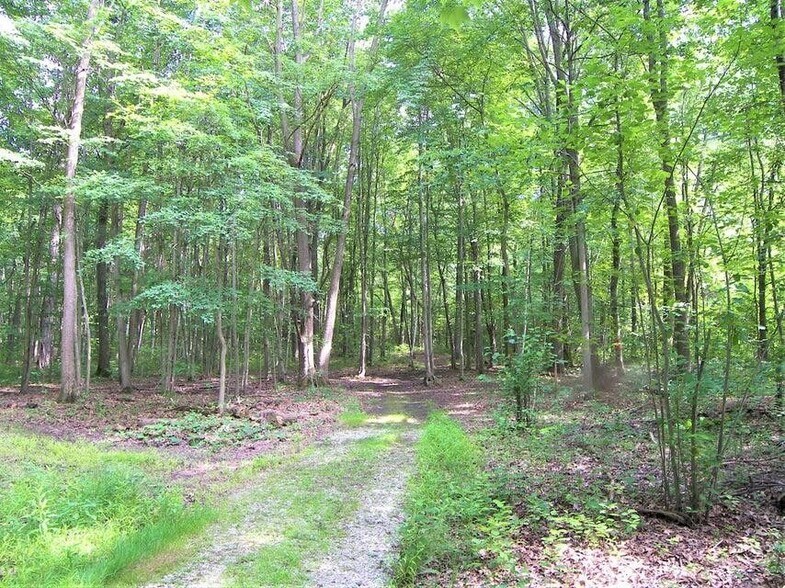 More Photos Of 19449 US Highway 12, New Buffalo Office For Sale