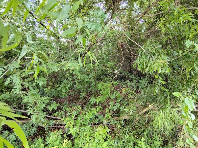 More Photos Of 5470 SE Ebbtide Ave, Stuart Land For Sale