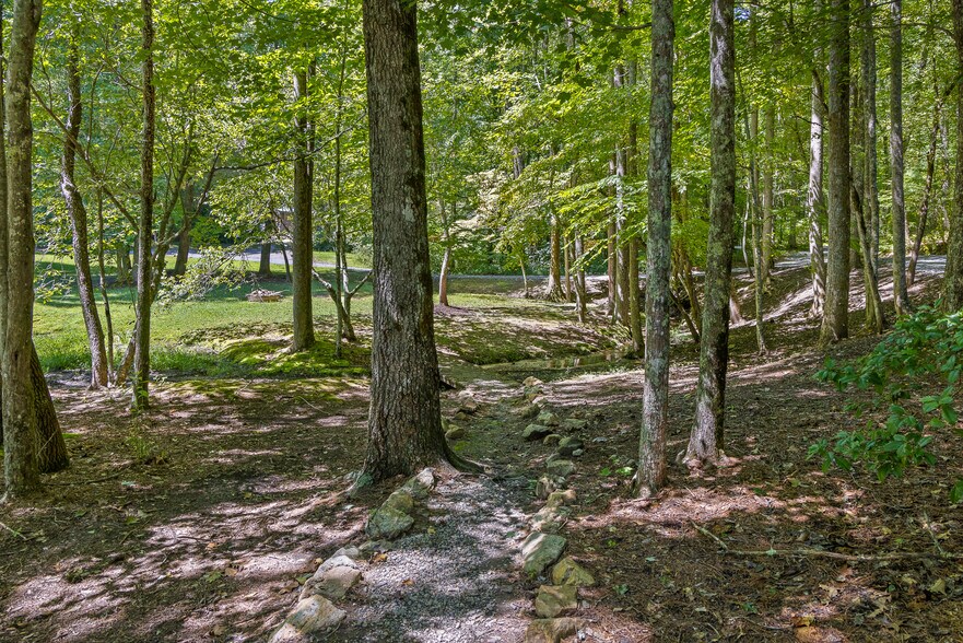 More Photos Of 340 Willow Creek Dr, Blue Ridge Hotel For Sale