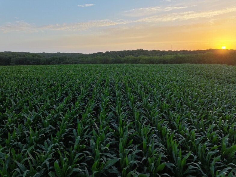 More Photos Of 160th Road, Yale Land For Sale